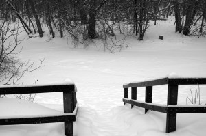 Paint Creek Trail Access Point just down from Tienken. Jason C Davis Clinton Valley Trout Unlimited