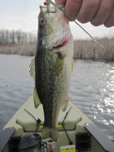 First Bass in the Hobie PA